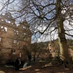 Tagesausflug Kloster Hirsau und Fachwerkstadt Calw