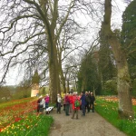 Tagesausflug  „Zur Tulpenblüte auf die Blumeninsel Mainau“