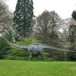 Tagesausflug  „Zur Tulpenblüte auf die Blumeninsel Mainau“