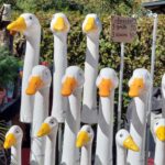 Nachlese Illertisser Gartentage
