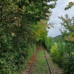Nachlese Sulzbach-Laufen Draisinen und Planwagenfahrt